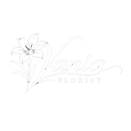 Vania